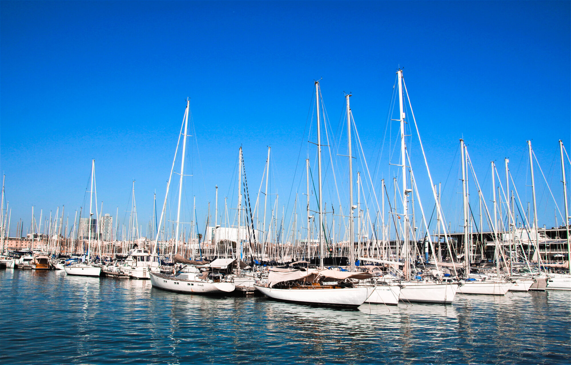 Gestió de la comunicació de la Fundació Barcelona Capital Nàutica